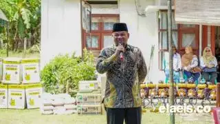 Petani Tidak Perlu Khawatir, Harga TBS Sawit di Bengkulu Tetap Stabil Jelang Pemilu