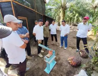 Tingkatkan Efektivitas dan Efisiensi, PTPN IV Regional II Lakukan Sejumlah Terobosan