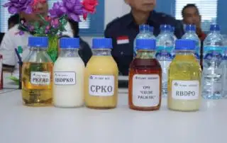 Dahsyat!! Sudah Rp 12.640-an Harga CPKO Tender KPBN Periode 20 Februari 2024