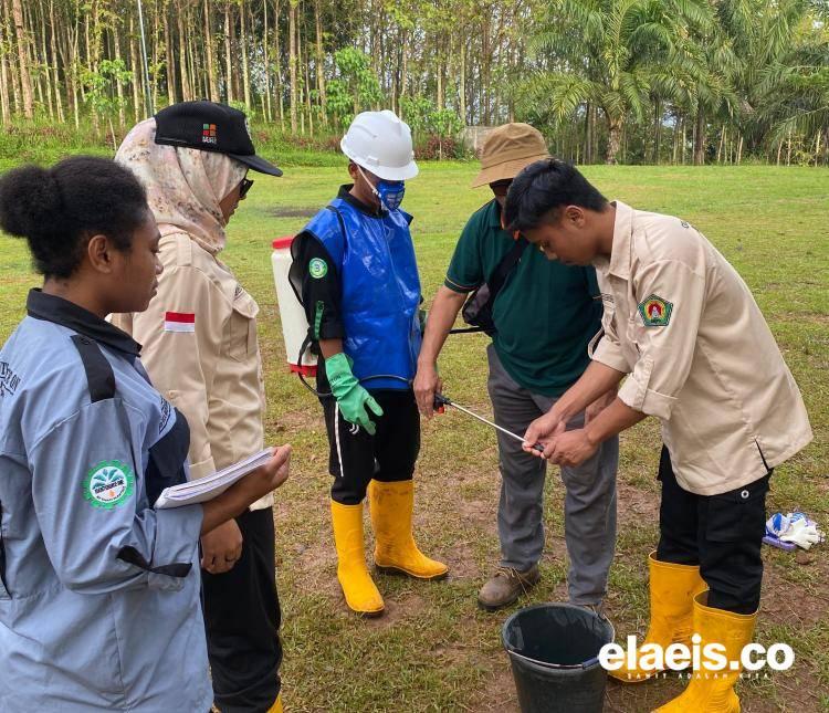 Janji Juwita Pulang ke Sidey