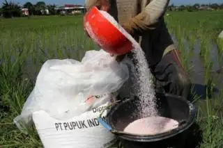 Alokasi Pupuk Subsidi Ditambah Jadi 9,55 Juta Ton, Petani Dapat Diskon 40 Persen