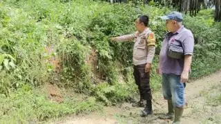 Rusak Kebun Sawit, Gajah Liar Digiring Keluar dari Desa Betung