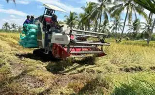 Nilai Tukar Petani Februari 2024 Naik 2,28 Persen