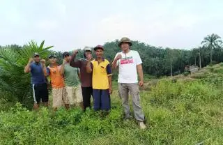 Setahun Dapat Tekanan, Gapoktan Amanah Resah, Tak Fokus Rawat Kebun