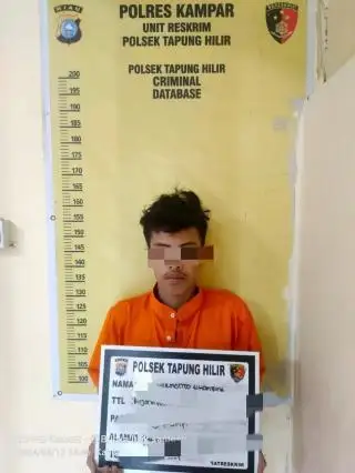 Tak Kapok, Residivis ini Kembali Diringkus Saat Mencuri Buah Sawit