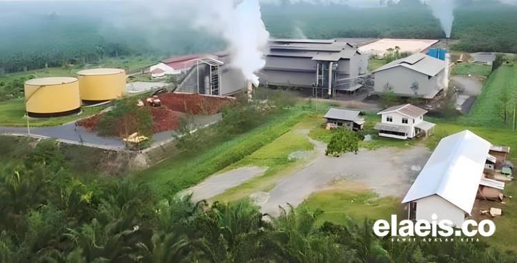 Empat PKS di Mukomuko Kompak Naikkan Harga TBS Kelapa Sawit, Segini Besarannya!