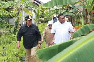 Upsus Optimalisasi Lahan Rawa Diharapkan Tingkatkan Kesejahteraan Petani
