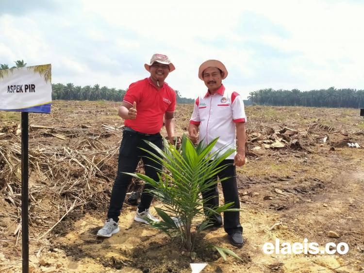 Aspek-PIR Optimis 2 Bulan Lagi Regulasi Sawit Terbit