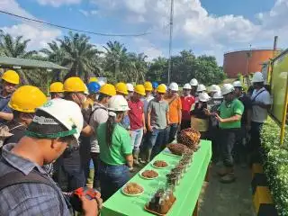 Dukung Petani Plasma, BSI Siap Biayai Pembukaan Kebun Baru dan Replanting Sawit