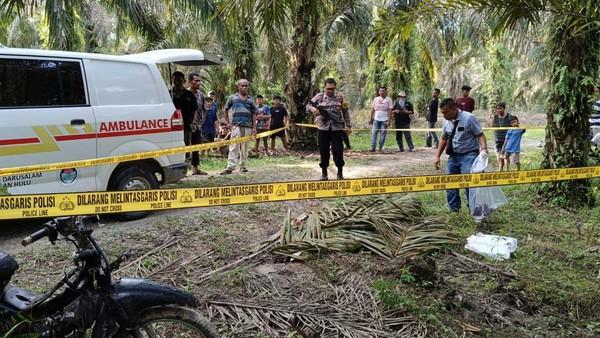 Gara-gara Brondolan, Pria di Rohul Tewas Digorok Temannya
