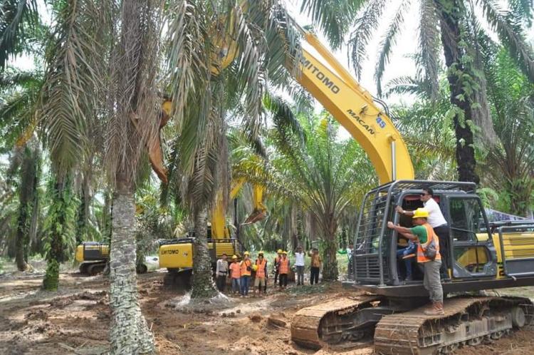 Program PSR di Bengkulu Diperketat, Ini Dampaknya!