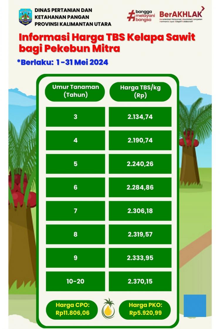 Bikin Petani Sumringah, Harga TBS Sawit Kaltara Naik Lagi