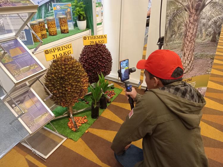 Panser Tamba, Gen Z dari Labura yang Jadi Tiktoker Sawit