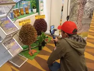 Panser Tamba, Gen Z dari Labura yang Jadi Tiktoker Sawit