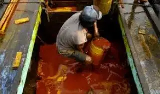 Kembali Moncer Harga CPO Hasil Tender PT KPBN Periode 6 Juni 2024