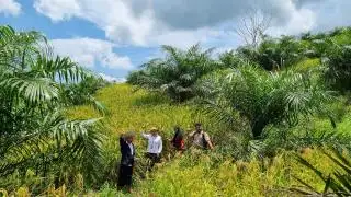 Jutaan Petani, Penyuluh, dan Babinsa Diberdayakan Antisipasi Krisis Pangan