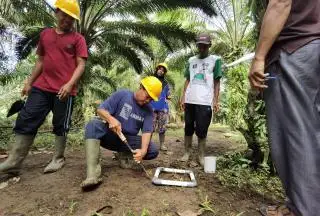 Tingkatkan Hasil Produksi Lewat Regeneratif Agriculture
