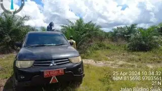 Akses ke Program BPDPKS Terganjal Status Kawasan Hutan, Petani Disarankan Lakukan ini