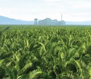 Kemenperin Dorong Hilirisasi dan Susun Roadmap Songsong Sawit Indonesia Emas 2045