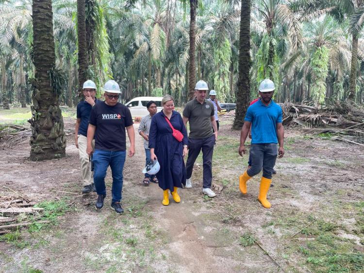 Melalui ILO, Amerika Serikat Jadikan Simalungun Sebagai Kiblat Sawit Dunia