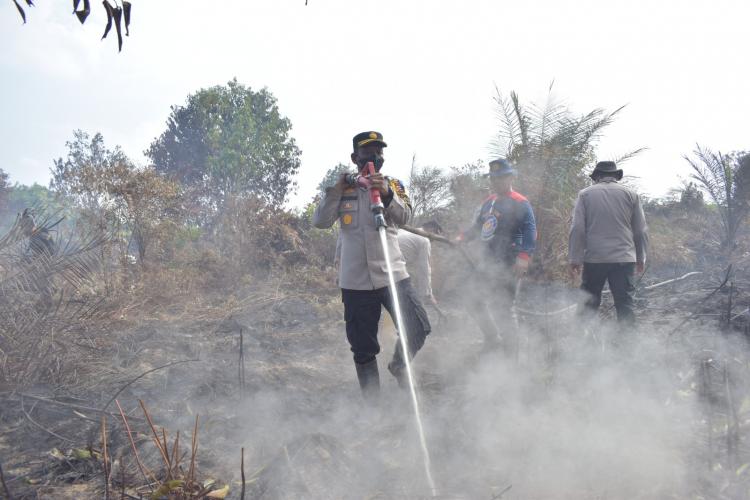 Hanguskan 311,9 Hektar Lahan, Karhutla di Inhu Berhasil Dipadamkan