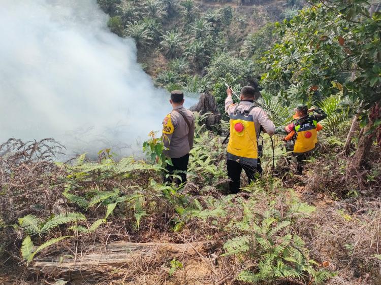Gulat: Karhutla di Riau Bukan Karena Budidaya Sawit