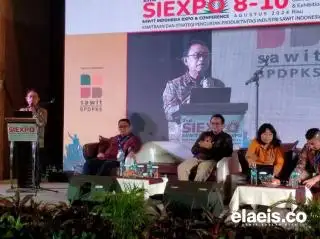 Lima Tahun Terakhir Produksi Kebun Sawit Stagnan