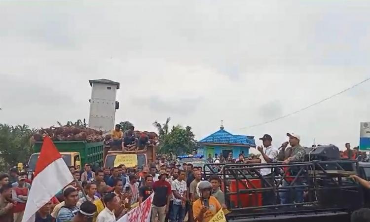 Insentif Tak Cair Sejak 2016, Petani Mitra Tutup Paksa Pabrik Sawit PT SLS