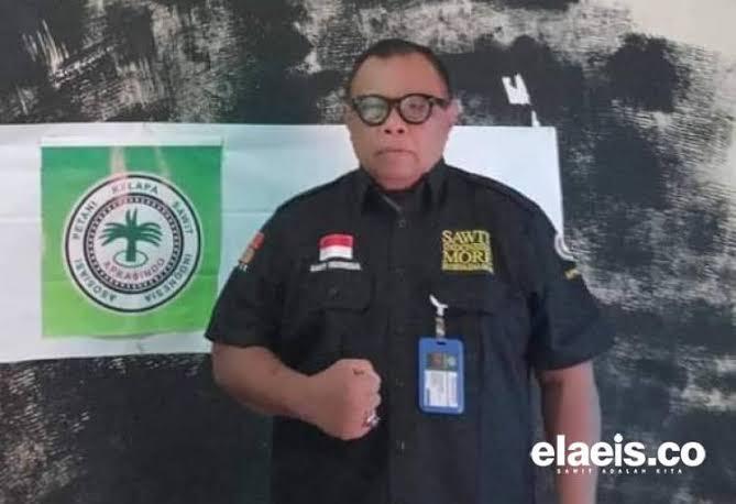 Bangkitkan Petani Sawit Swadaya di Indonesia