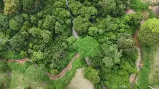 Tentang 'Zamrud Tersembunyi' di Kebun Tandun