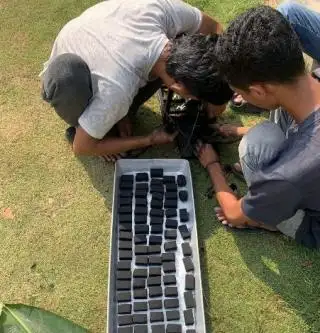 Biobriket dari Pelepah Sawit, Solusi Lingkungan dan Sumber Energi Alternatif