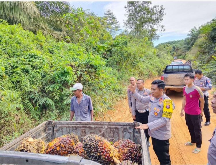 Ribuan Petani Sawit di Kotim Dilindungi Jamsostek, Iurannya Ditalangi DBH Sawit