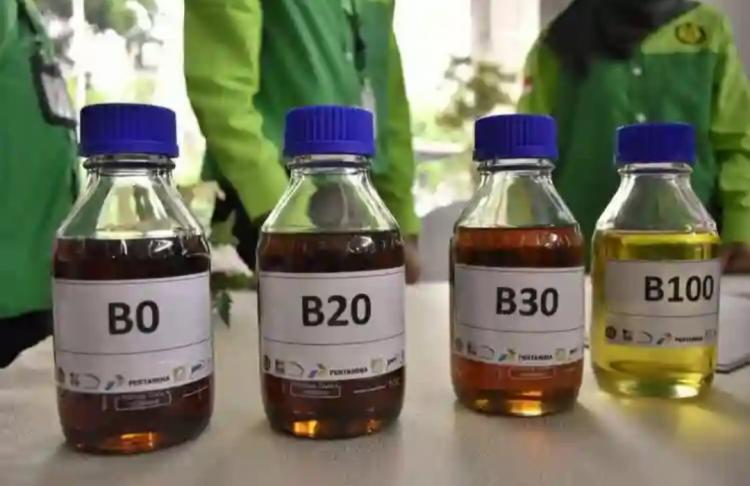 Biofuel Jadi Salah Satu Kunci Akselerasi Transisi Energi Indonesia