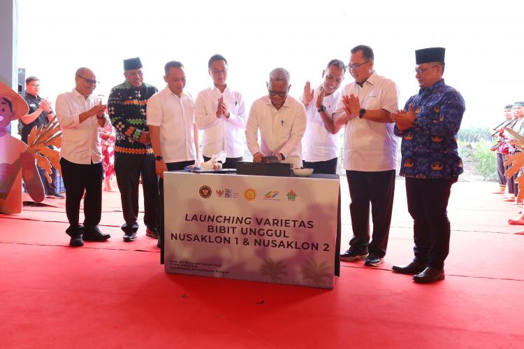 Dukung Swasembada Pangan di lahan PSR, Alfedri apresiasi Program TAMPAN
