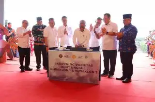 Dukung Swasembada Pangan di lahan PSR, Alfedri apresiasi Program TAMPAN