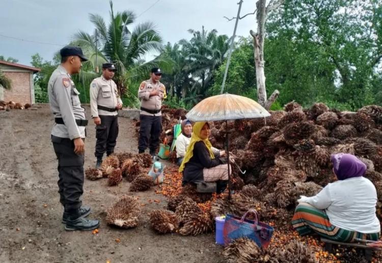 Personel Polsek Kempas Kerap Datangi Ibu-ibu Petani Sawit Usai Pilkada, Ada Apa?