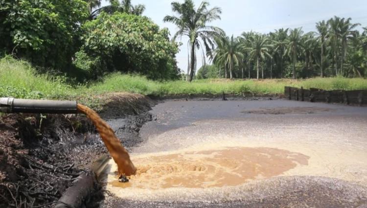 GAPKI Dukung Peningkatan Baku Mutu Limbah Sawit untuk LA