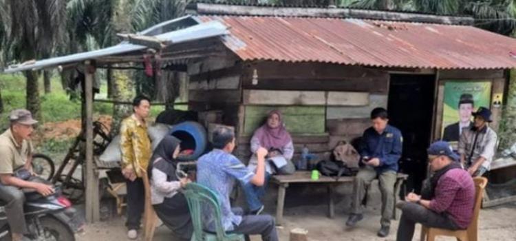Percepat PAT Padi Gogo, BSIP Sumsel Cek Lahan Peremajaan Sawit di Muara Enim