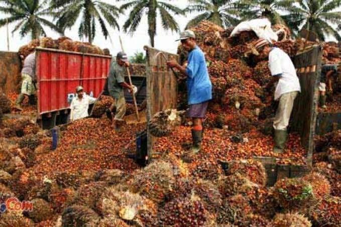 'Pulut Ketan' Jadi Andalan Riau Lindungi Pekerja Rentan