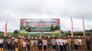 25 Hektar Lahan Perusahaan Sawit di Kotim Ditumpang Sari dengan Jagung
