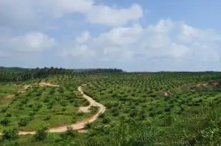 PT. Agricinal Luncurkan Program RAMATA untuk Pembangunan Ekonomi Berkelanjutan di Bengkulu Utara
