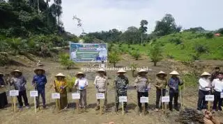 Dukung Tumpang Sari Padi Gogo di Lahan Sawit, Masyarakat Lubuk Manggis Siapkan 1.000 Ha