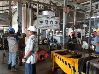 Banyak Pelanggaran, Serikat Buruh Kalbar Ingin Ada Regulasi Khusus untuk Pekerja Sawit