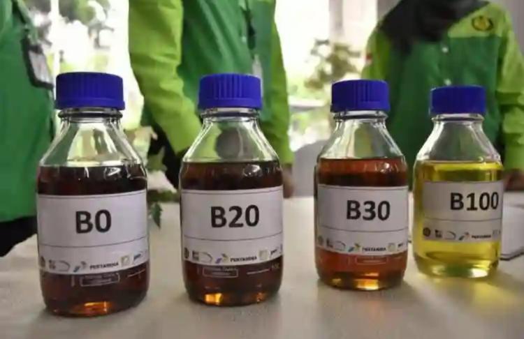 Program B40 Sedot Sekitar 28 Persen Produksi CPO Nasional