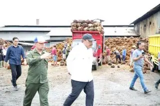 Cueki Harga TBS Ketetapan Pemerintah, Wagub Bengkulu Ancam Tutup Pabrik Sawit
