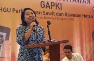 Tumpang Tindih Regulasi Ancam Keberlanjutan Usaha Sawit