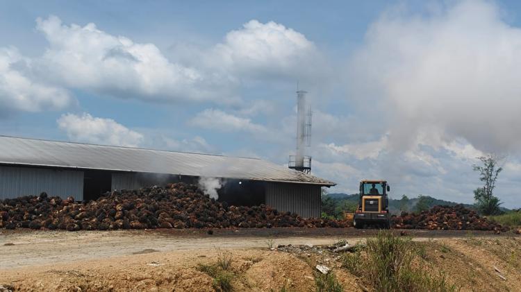 Kerjasama Dengan 6 Poktan, PKS Mini PT ISG Sudah Produksi 20 Ton CPO/Hari