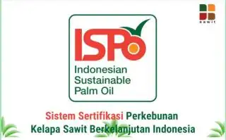 Aturan ISPO Dirombak, Sertifikasi Sawit Libatkan Tiga Kementerian