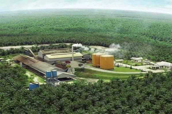 Emiten Sawit ini Terus Genjot Penjualan CPO, Pabrik Baru di Kaltim Siap Tempur