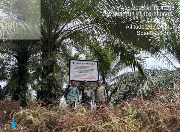 Kantor Pertanahan Sijunjung Bantu Satgas PKH Klarifikasi Kebun Sawit di Kawasan Hutan